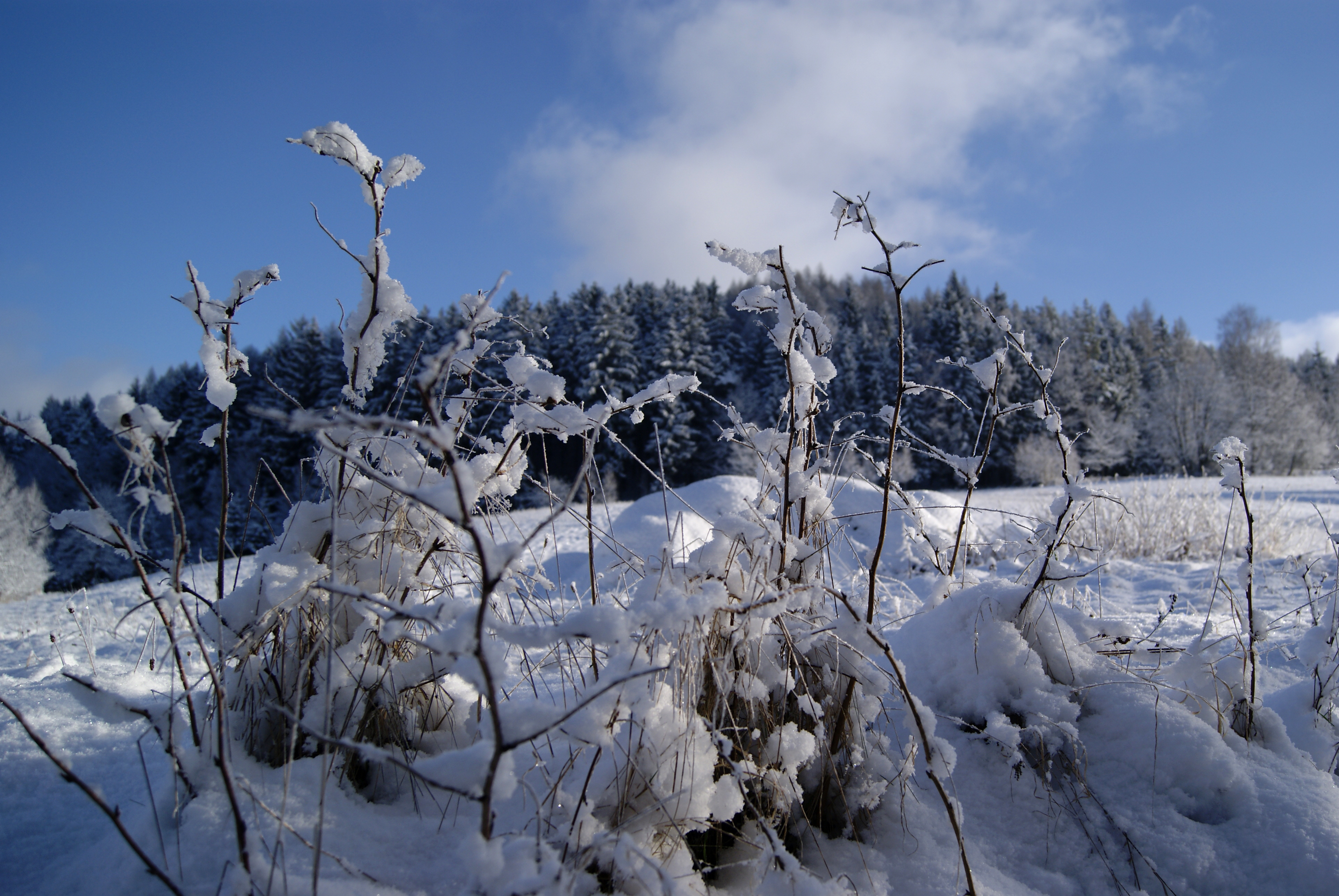 Precz z bylejakością.
