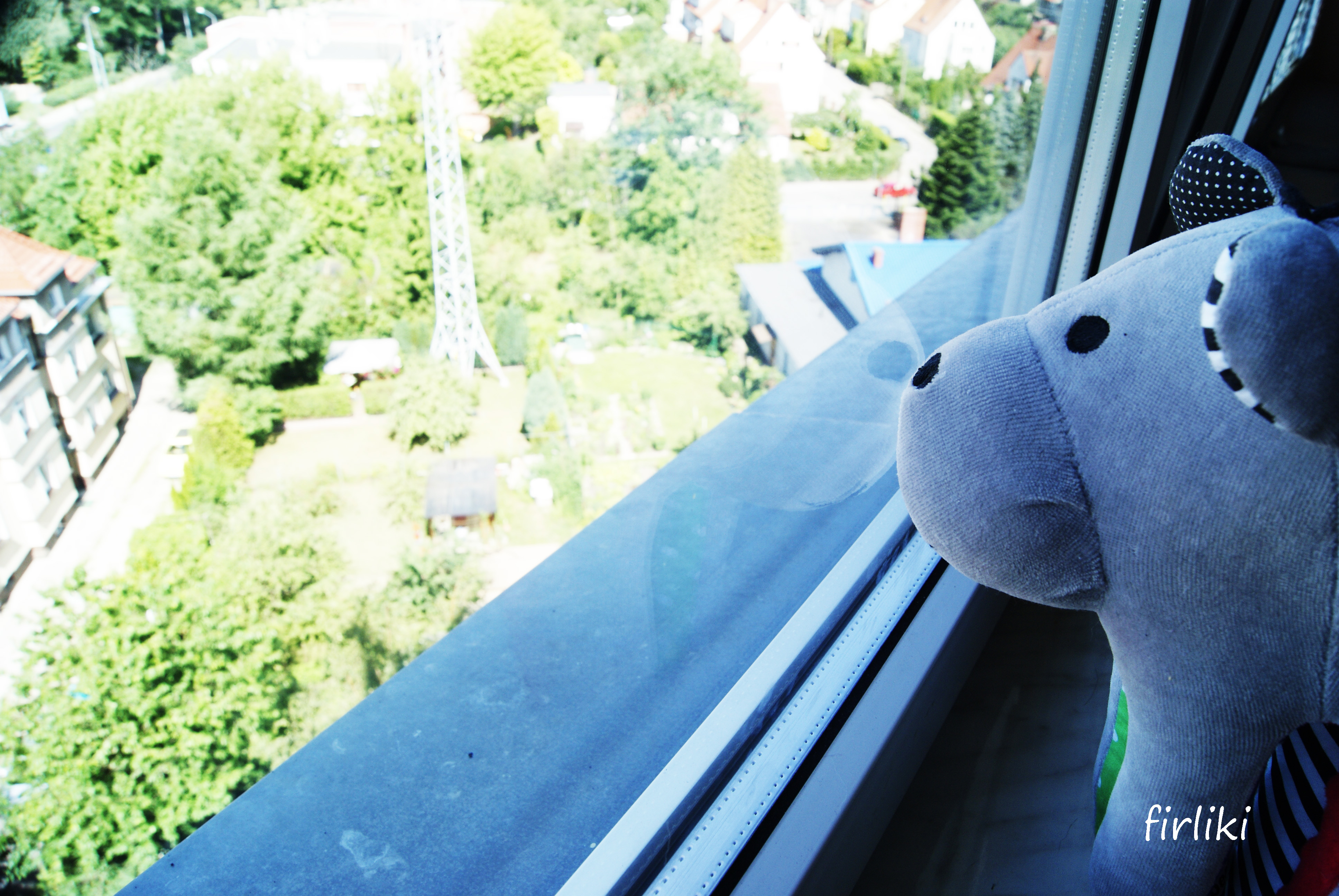 O misiu zwanym Whisbear