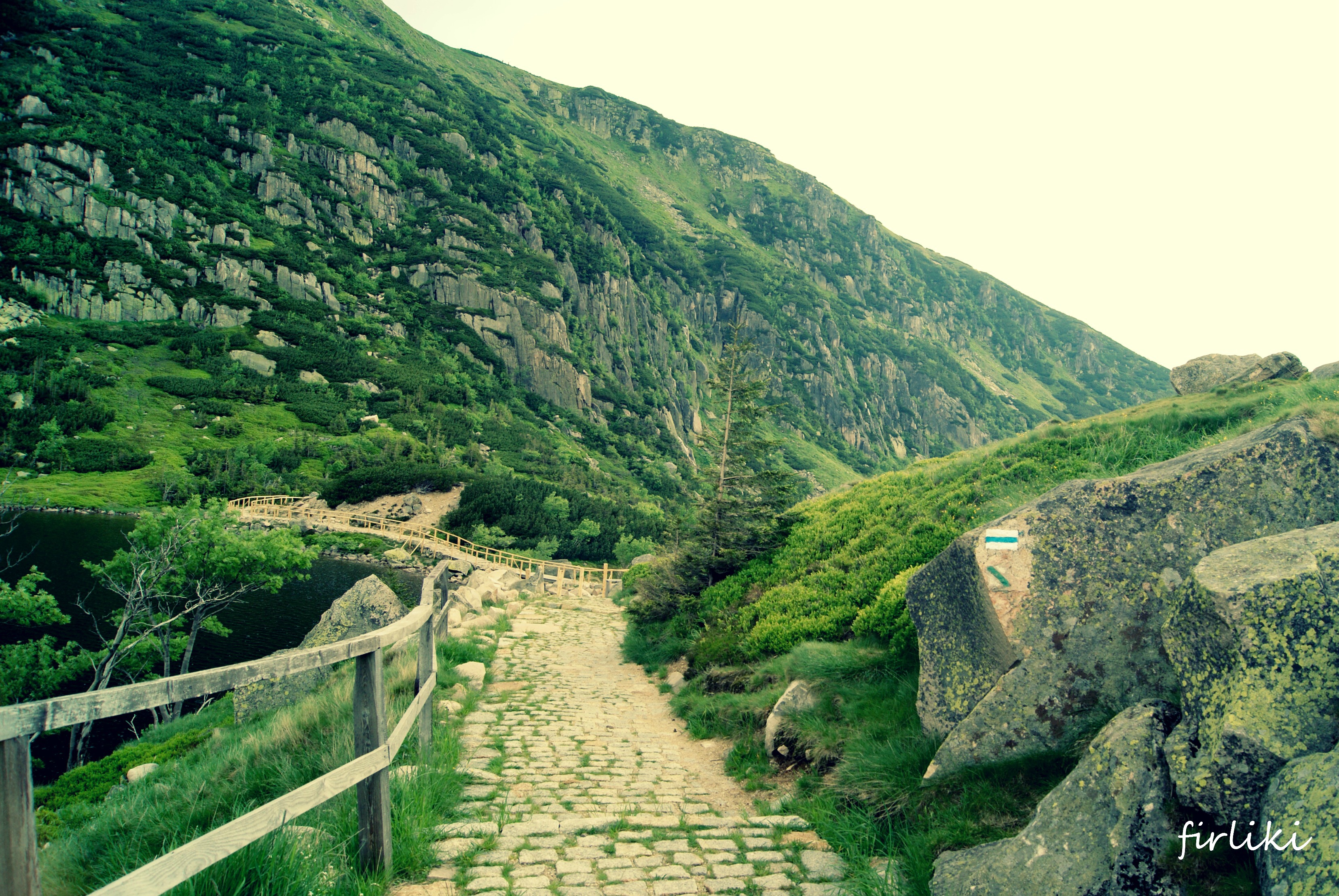 Do Karpacza z niemowlakiem. Samotnia