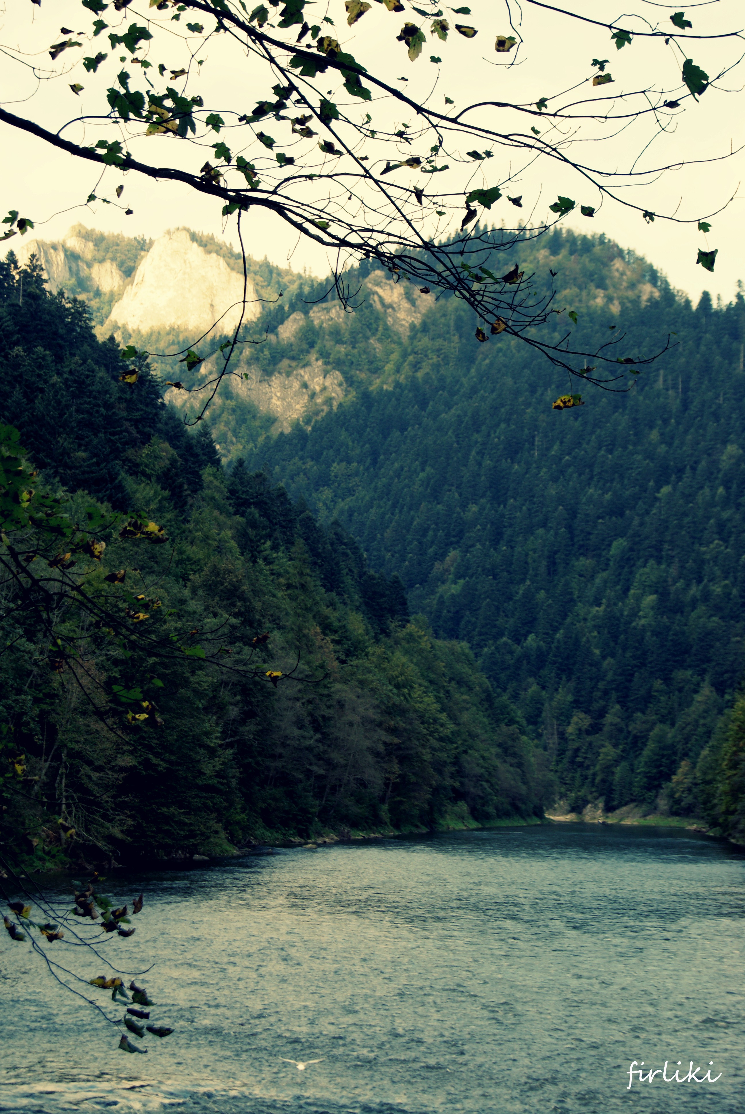 Pieniny z niemowlakiem. Dunajec widziany z Drogi Pienińskiej.