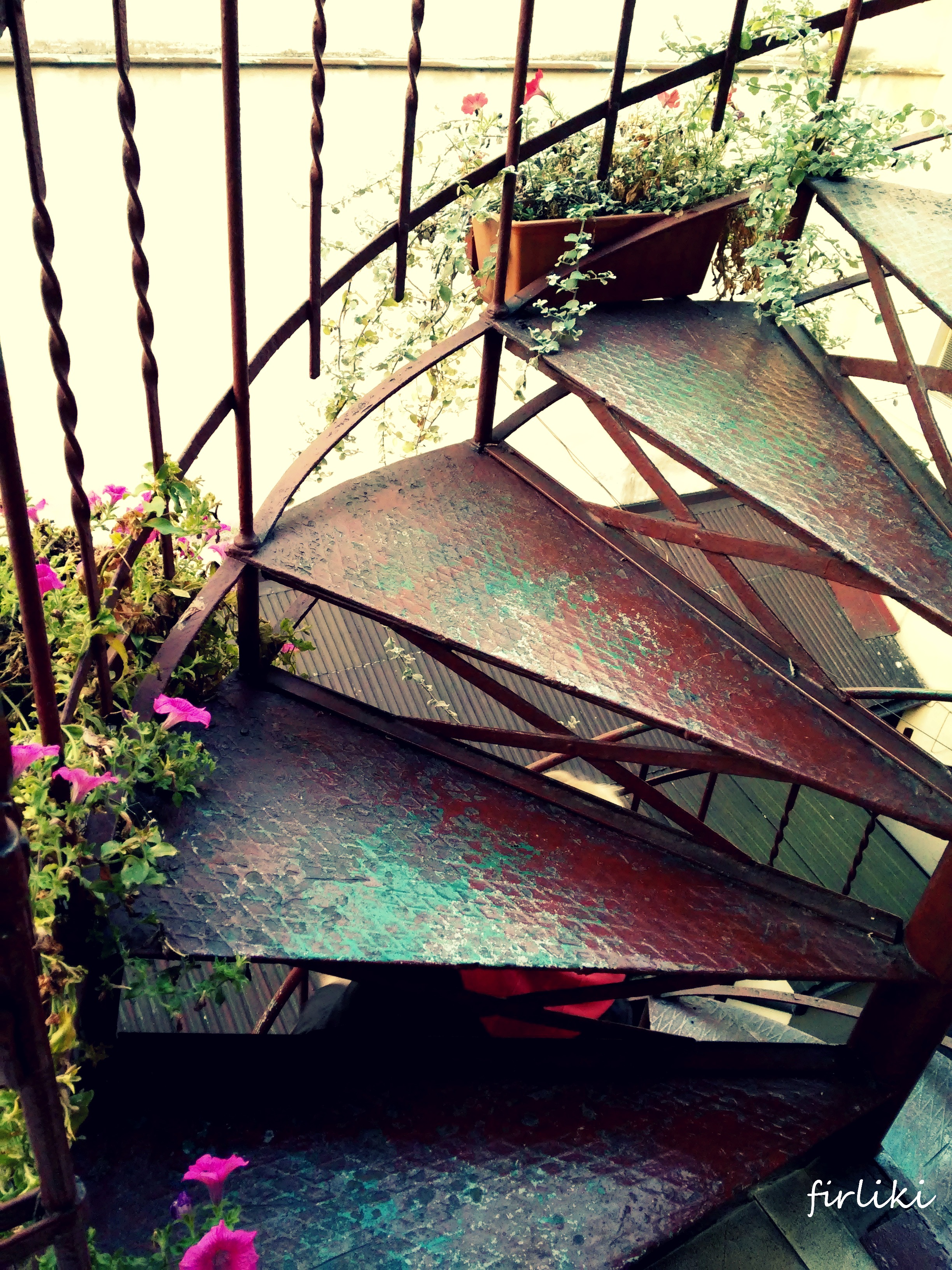 Pieniny z niemowlakiem. Schody do naszego apartamentu ;)