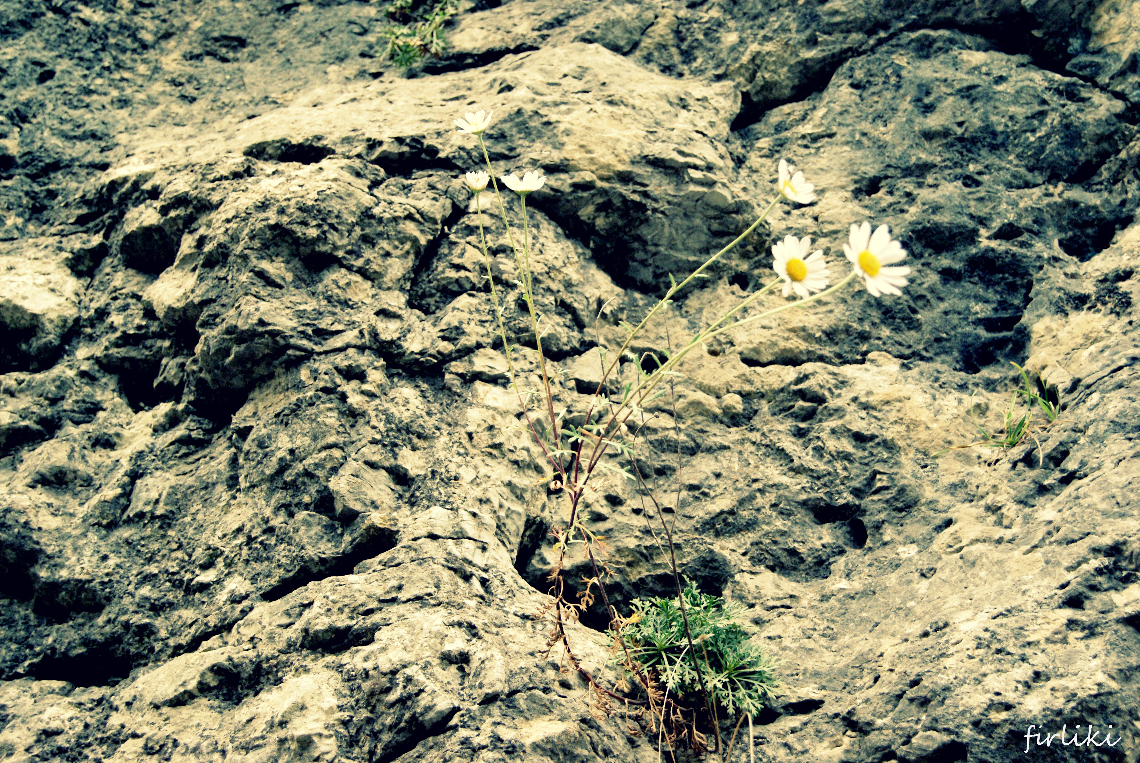 Pieniny z niemowlakiem. Wola życia silniejsza niż najtwardsza skała.