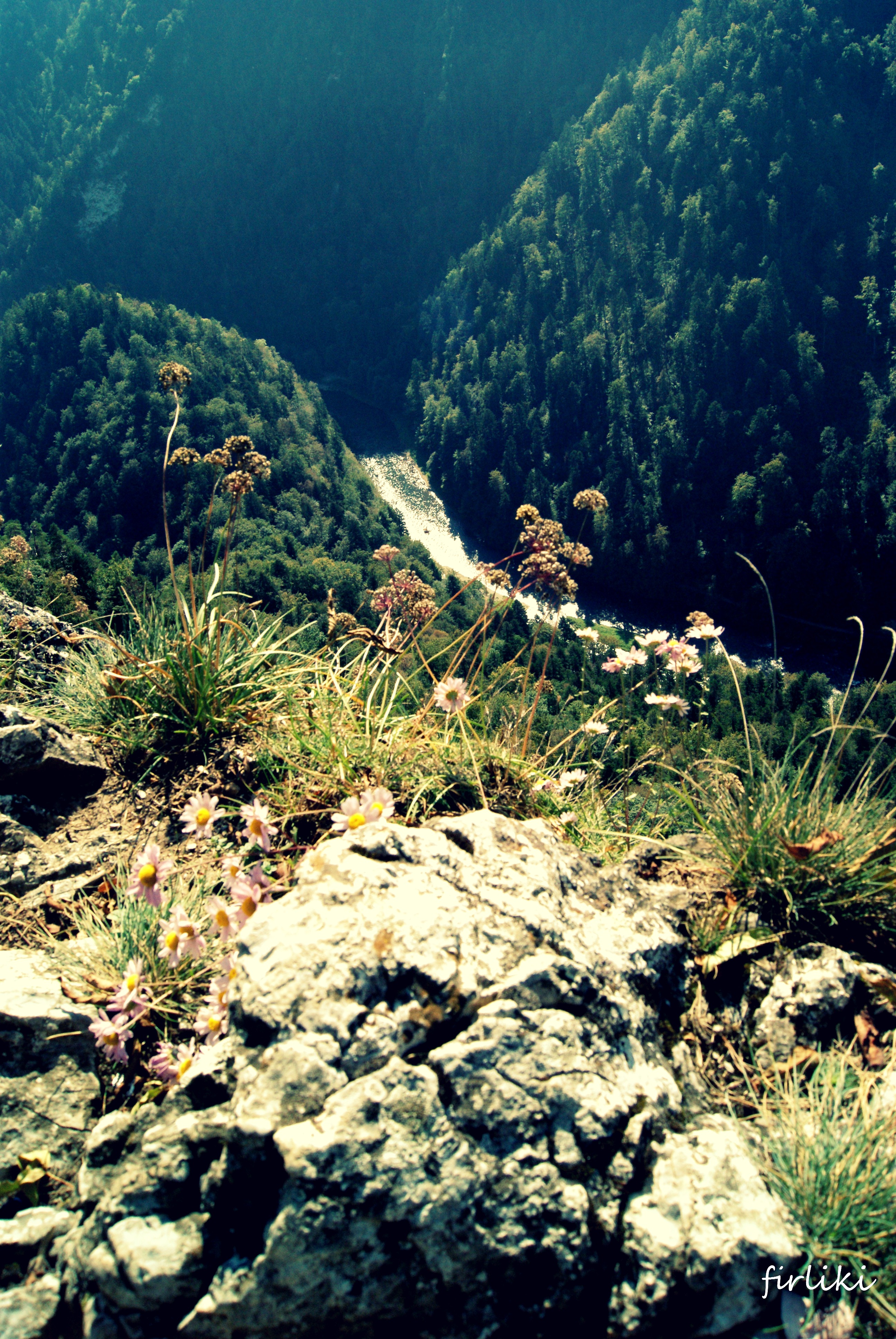 Pieniny z niemowlakiem. Dunajec widziany z Sokolicy.
