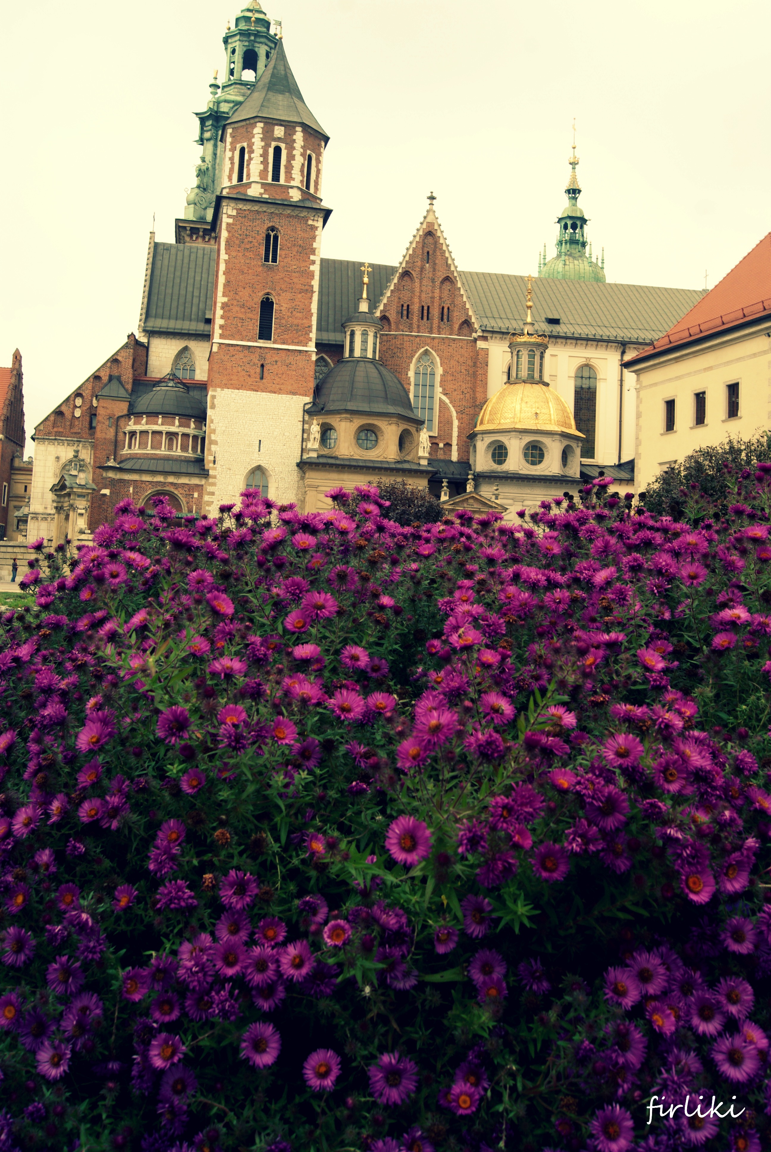 Pieniny z niemowlakiem. Wawel skąpany w kwiatach.