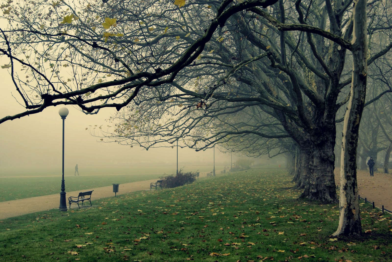 Szczecin we mgle. Park Kasprowicza