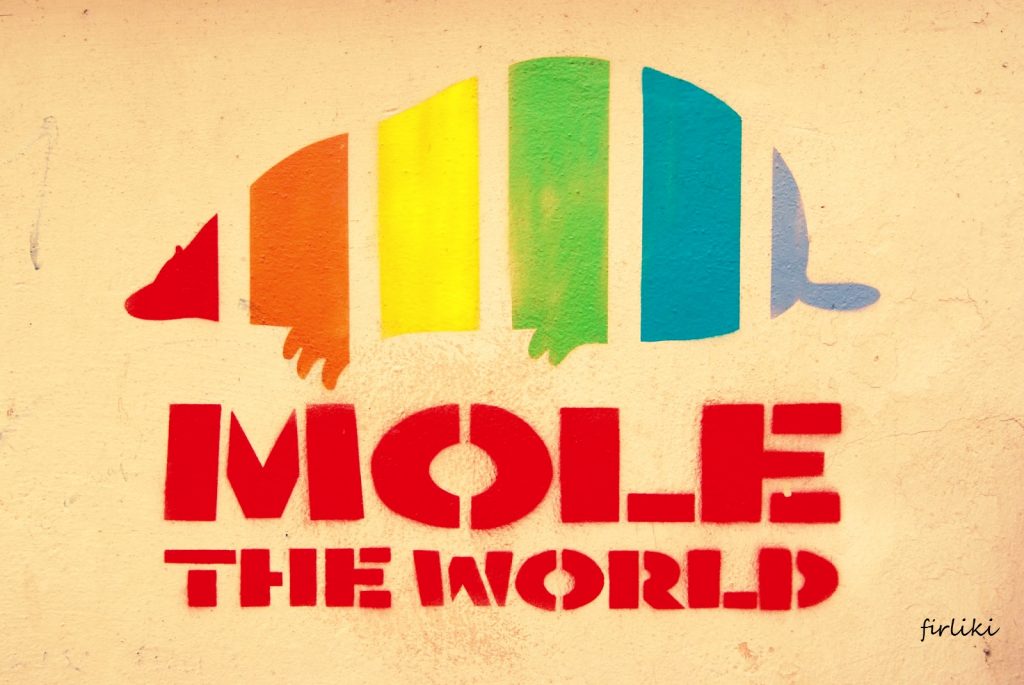 Sprejem na ścianach malowane. Szczecin inaczej.