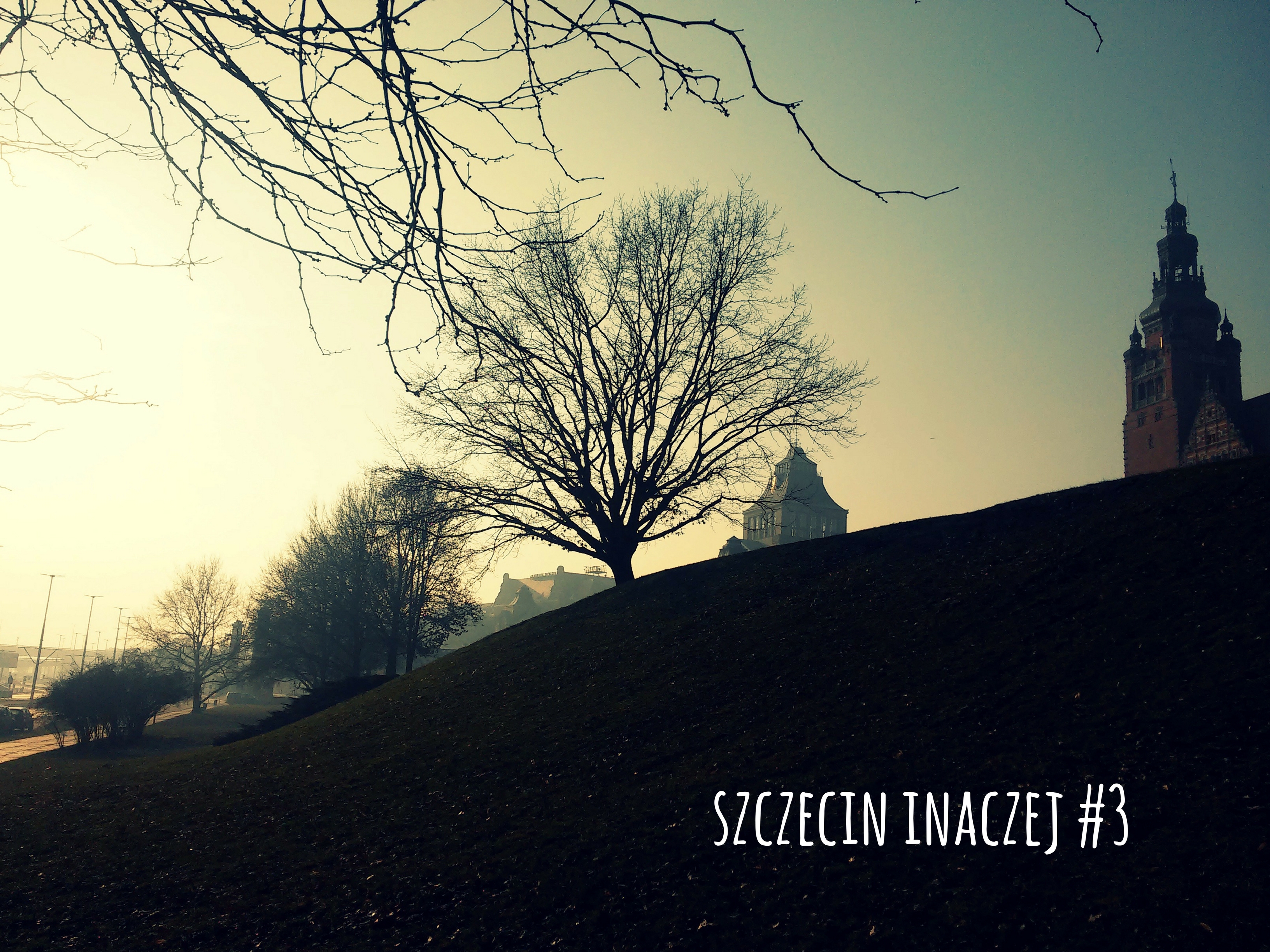 Sprejem po ścianach malowane. Szczecin inaczej #3